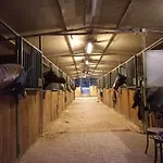 Bed & Breakfast Agricola Godino Ozzano Monferrato