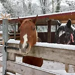 Bed & Breakfast Agricola Godino Ozzano Monferrato
