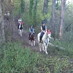 Agricola Godino 3*