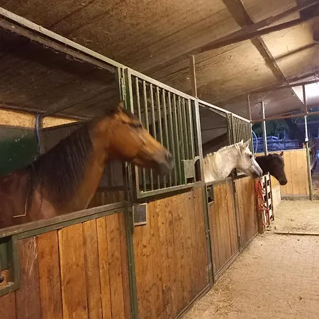Agricola Godino Ozzano Monferrato