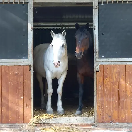 Agricola Godino Bed & Breakfast 3*