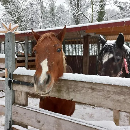 Bed & Breakfast Agricola Godino Ozzano Monferrato