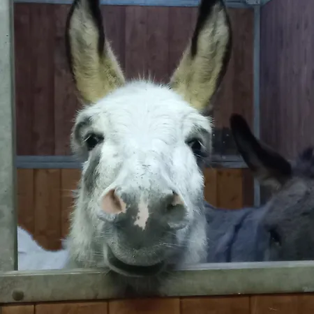 Agricola Godino 3* Ozzano Monferrato