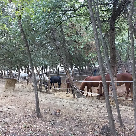 Agricola Godino Bed & Breakfast Ozzano Monferrato