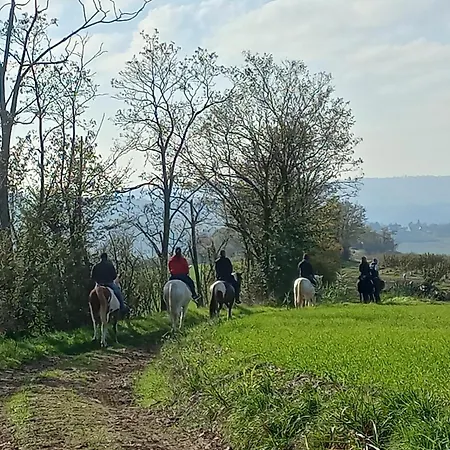 Bed & Breakfast Agricola Godino