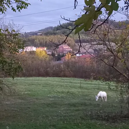 Agricola Godino ベッド・アンド・ブレックファスト Ozzano Monferrato