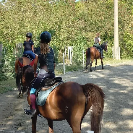 Bed & Breakfast Agricola Godino Ozzano Monferrato