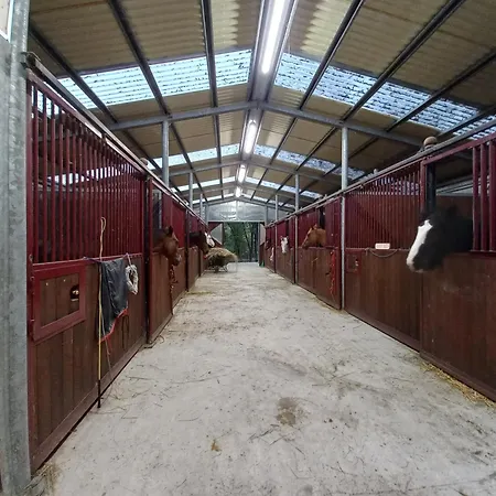 Bed & Breakfast Agricola Godino 3*