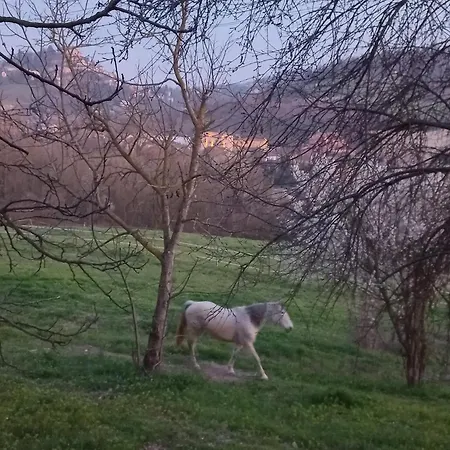 Bed and breakfast Agricola Godino Ozzano Monferrato