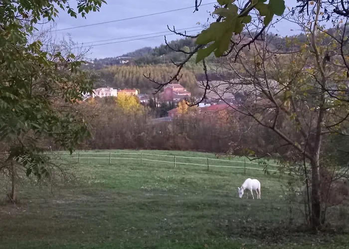 Agricola Godino לינה וארוחת בוקר Ozzano Monferrato
