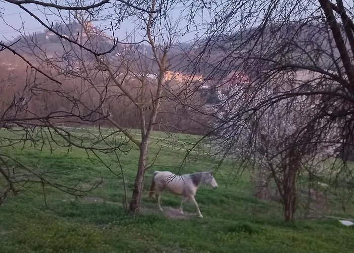 Bed & Breakfast Agricola Godino Ozzano Monferrato